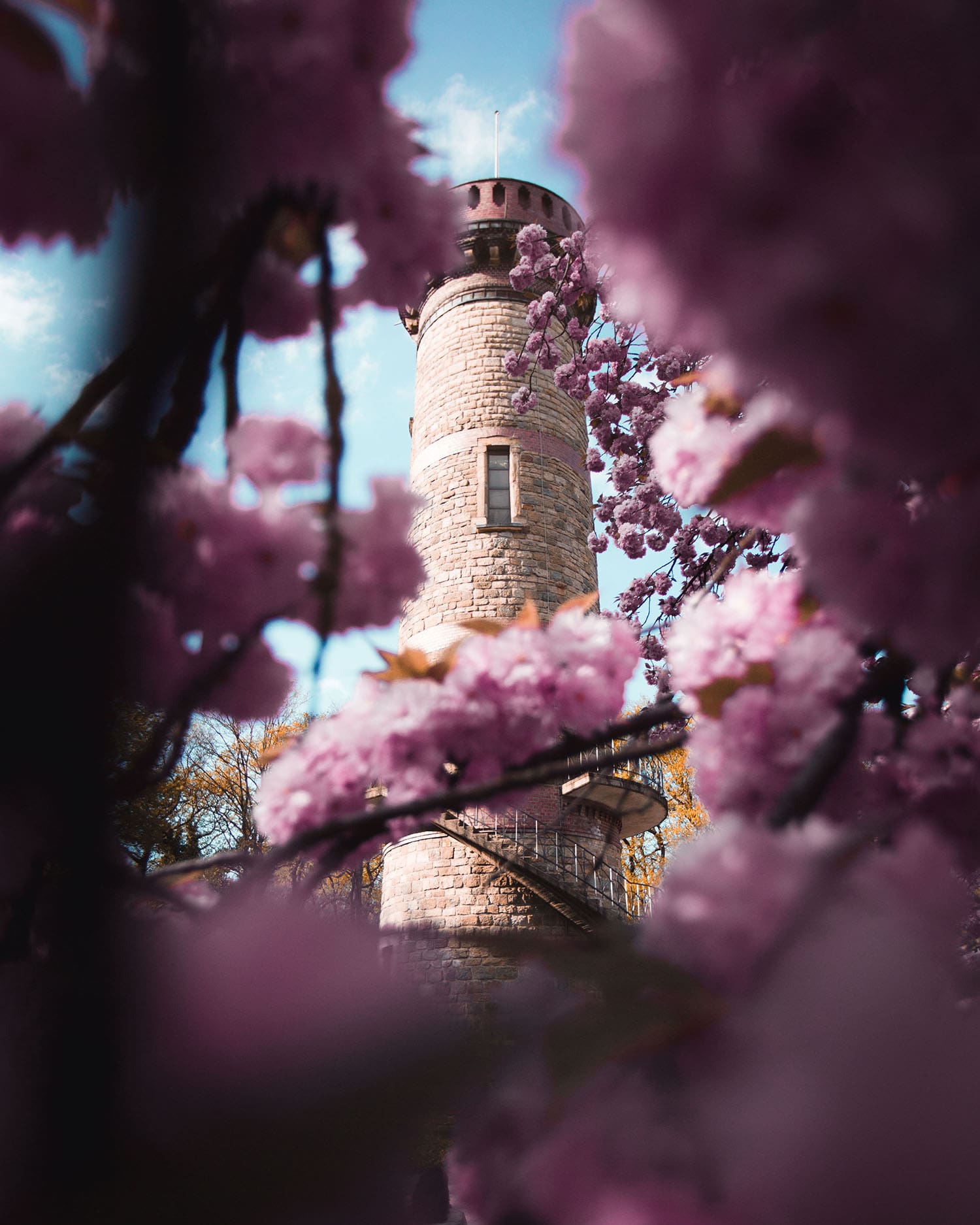 Tölleturm Wuppertal mit Blumen