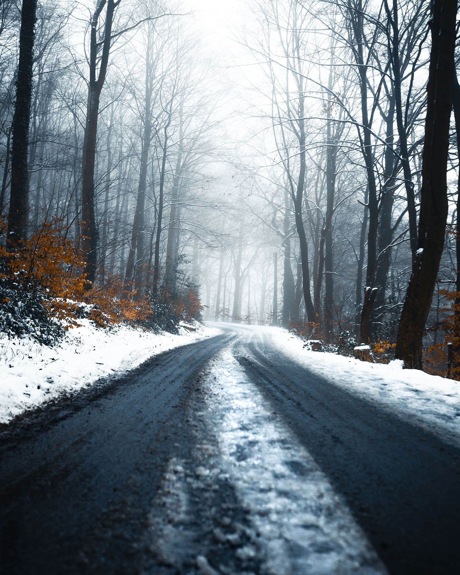 Waldweg im Winter